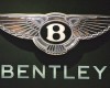 Bentley планирует продавать по 3000 внедорожников в год