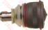 Опора шаровая наружн нижн 1243330327 MERCEDES-BENZ: W123/W201 2.0-2.4, W126 2.6-6.0 DLZ